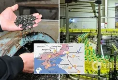 Окупанти крадуть в Україні ще й соняшник, який в Росії перероблять на олію