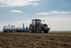 Соняшник на Львівщині почали сіяти пізніше, ніж минулого року
