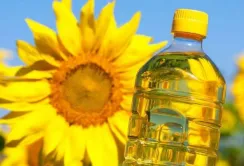 Китай планує закупити велику партію української соняшникової олії