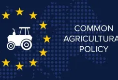 Почалась реалізація спільної сільськогосподарської політики ЄС на 2023-2027 роки