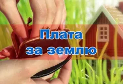 Сплата земельного податку у 2024 році: роз’яснення податкової