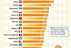 Українці другі в світі по споживанню картоплі