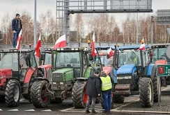 На становище польських фермерів українське зерно не впливає, – дослідження