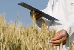 "PZU Україна" виплатила аграріям чотирьох областей 2,7 млн ​​грн