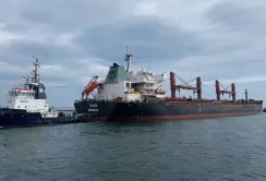 Уряд може ухвалити рішення про страхування суден в зерновому коридорі, – Шмигаль