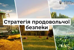 Кабмін затвердив Стратегію продовольчої безпеки до 2027 року