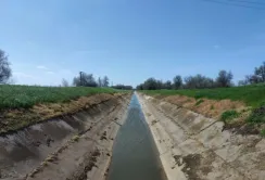 Перші організації водокористувачів отримали субгранти від USAID АГРО
