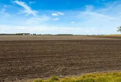 В ході торгів з суборенди держземель на Хмельниччині учасники підняли ціну більш ніж у 40 разів