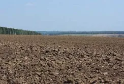 У ДАР приймають заявки на субсидії на 1 га оброблюваних угідь