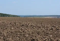 Субсидії на оброблювані угіддя та утримання худоби: прийом заявок розпочинається завтра