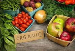 Львівщина надає субсидії виробникам органічної продукції