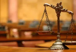 У США відмовили бджолярам і екологам у справі про інсектициди