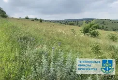 На Тернопільщині суд повернув заказнику землі, які незаконно використовували для сільського господарства