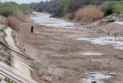 Півтора мільйона гектарів сільськогосподарських земель не будуть повноцінно використовуватись, – Микола Сольський