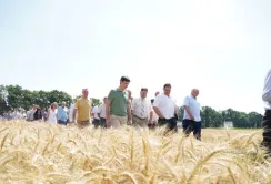 На Сумщині відбувся День поля