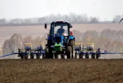 Аграріям Сумщини доведеться скоротити посіви ще на 10%