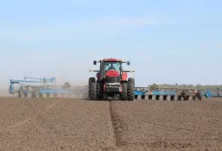 Аграрії Сумщини посіяли 50% озимих