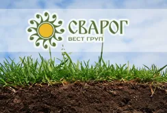 4 передумови успішного впровадження інновацій від «Сварог Вест груп»