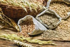 Світові ціни на продовольство у червні продовжили зниження