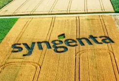 Syngenta запустила сайт з контролю бур'янів, стійких до гербіцидів