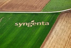Фермери стали частіше цікавитися продуктами-аналогами ЗЗР, - Syngenta