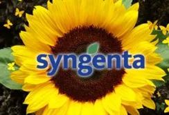 Syngenta організувала в Україні «Високоолеїновий клуб»