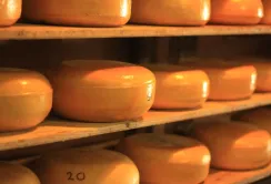 Продукція сироварів знову почала осідати на складах