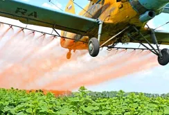 Вітчизняний ринок споживання ЗЗР щорічно зростає на 15-20%