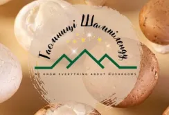 Грибний гастротуризм на Львівщині