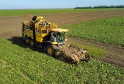 Агрохолдинг ТАС Агро зібрав на Вінниччині перший врожай цукрового буряку