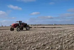 Інновації у підживленні соняшнику: досвід Tekom Agro Group