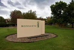 Monsanto продає Mitsui бізнес по обробці насіння пшениці та ячменю