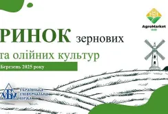 Підсумки березня на ринку зернових та олійних