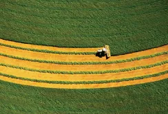 Точні технології в Україні запроваджені на 15% сільгоспугідь