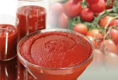 Українська торгова місія просуває в Японії продукцію АПК
