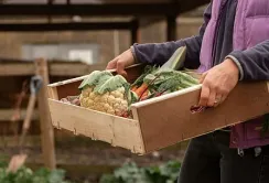 Україна та ЄС встановили рекорд у взаємній торгівлі агропродукцією