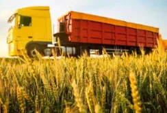 П'ять країн ЄС пропонують розширити перелік української агропродукції для транзиту