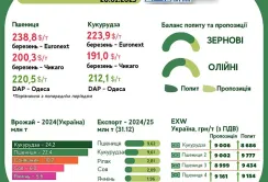 Тренди на ринку зернових та олійних з 20 по 28 січня