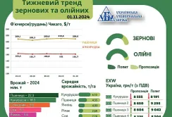 Тренди на ринку зернових та олійних з 25 по 31 жовтня