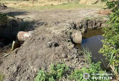 Три роки обмеження волі за поливання кавунів на присадибній ділянці