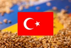 Кораблі під прапором Туреччини можуть рухатись зерновим коридором безперешкодно, — Міноборони Туреччини