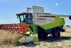 У компанії ТАС Агро почали збирати ранні зернові