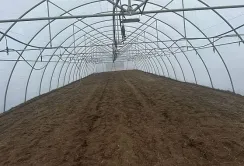 ПАЕК готуютєся висаджувати розсаду