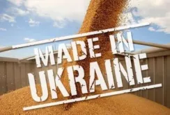 Єврокомісія обмежила обіг української агропродукції на території п’яти країн