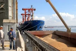 Українським морським коридором відправлено понад 50 млн тонн агропродукції