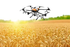 В Ukrlandfarming поділились перевагами використання квадрокоптерів у сільському господарстві