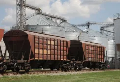 Залізниця у травні перевезла вдвічі менше зерна ніж у квітні
