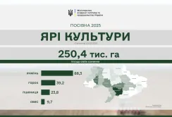 Ярі зернові сіють уже у 19 областях України