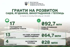92,7 млн грн грантової підтримки на розвиток садів і теплиць уже отримано