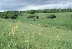 Землі природно-заповідного фонду в приватну власність передавати не можна